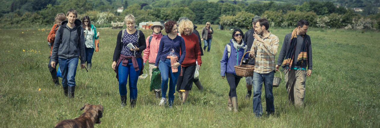 Wild food foraging walks and courses: mushroom hunts, hedgerow & seashore walks